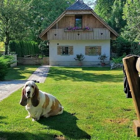 Vila Jana Radovljica Exteriör bild