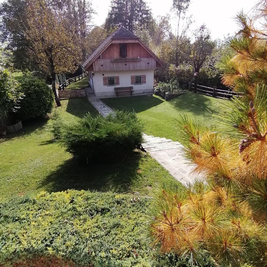 Vila Jana Radovljica Exteriör bild
